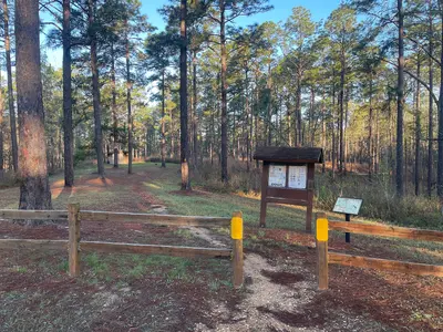 Kisatchie National Forest, Evangeline Camp 01