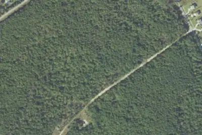 Hammocks Beach Group Campsite