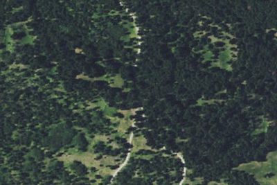 Doney Lake Rd-003