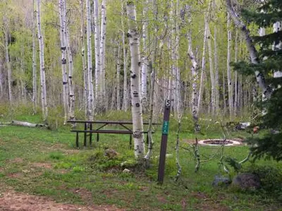 Deer Haven
