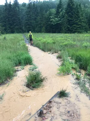 Dolly Sods - July 2019 - 40