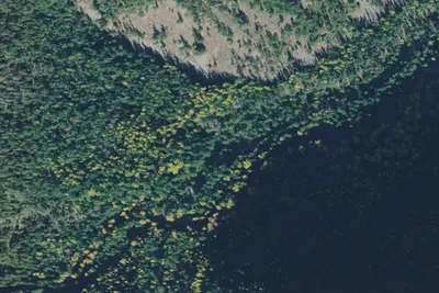 Rd 215 Site 11