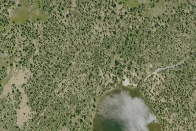 Camp site