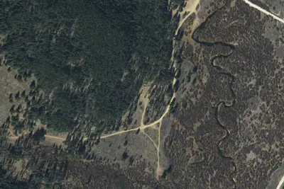U.S. Forest Service Site 1