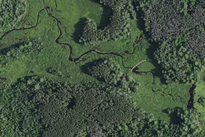 Camp site