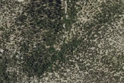 High Creek Camp