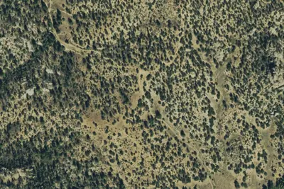 Camp site