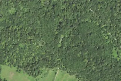 Camp site