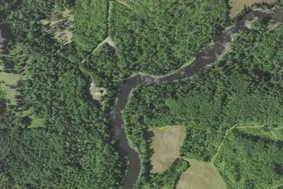 Rice Rapids