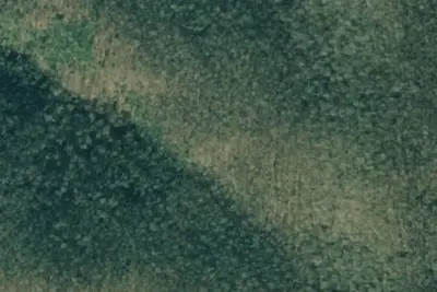 Camp site