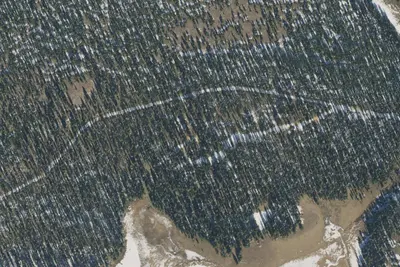 Camp site