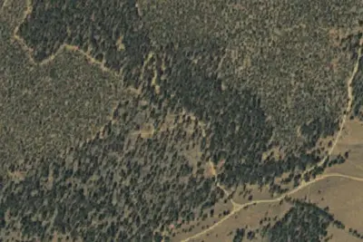 Camp site