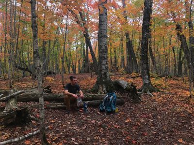 Island Mine Campground