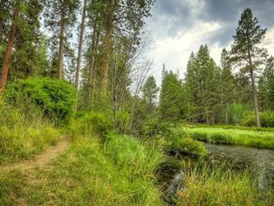 Camp Sherman Campground