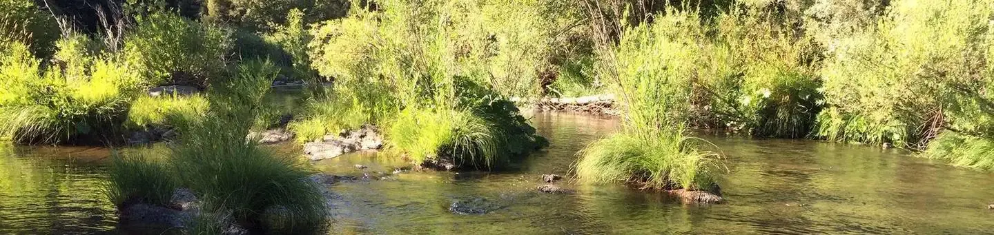 Spanish Creek