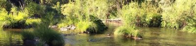 Spanish Creek Campground