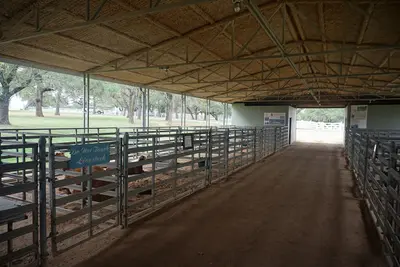 Lyndon B. Johnson Ranch October 2020 17 (Show Barn)