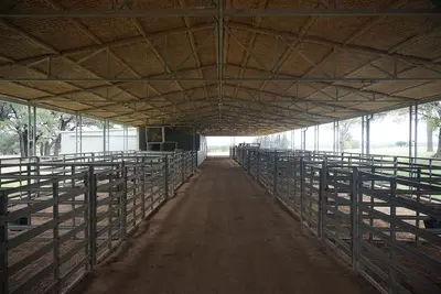 Lyndon B. Johnson Ranch October 2020 18 (Show Barn)