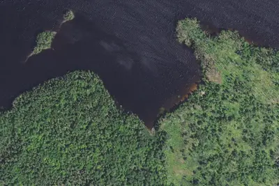 Bear Island Lake Site 3