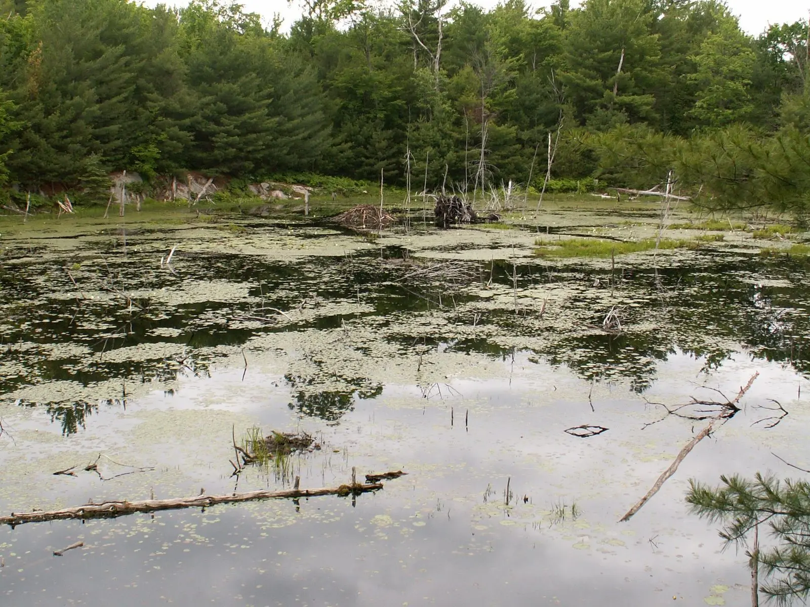 Photo of Six Mile Lake Provincial Park
