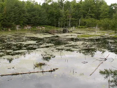 Six Mile Lake Campground