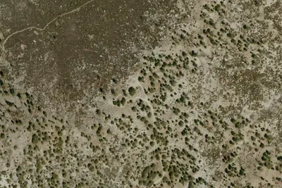 Mt. Pacifico Campground