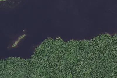 Homer Site 2