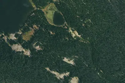 U.S. Forest Service Site 9