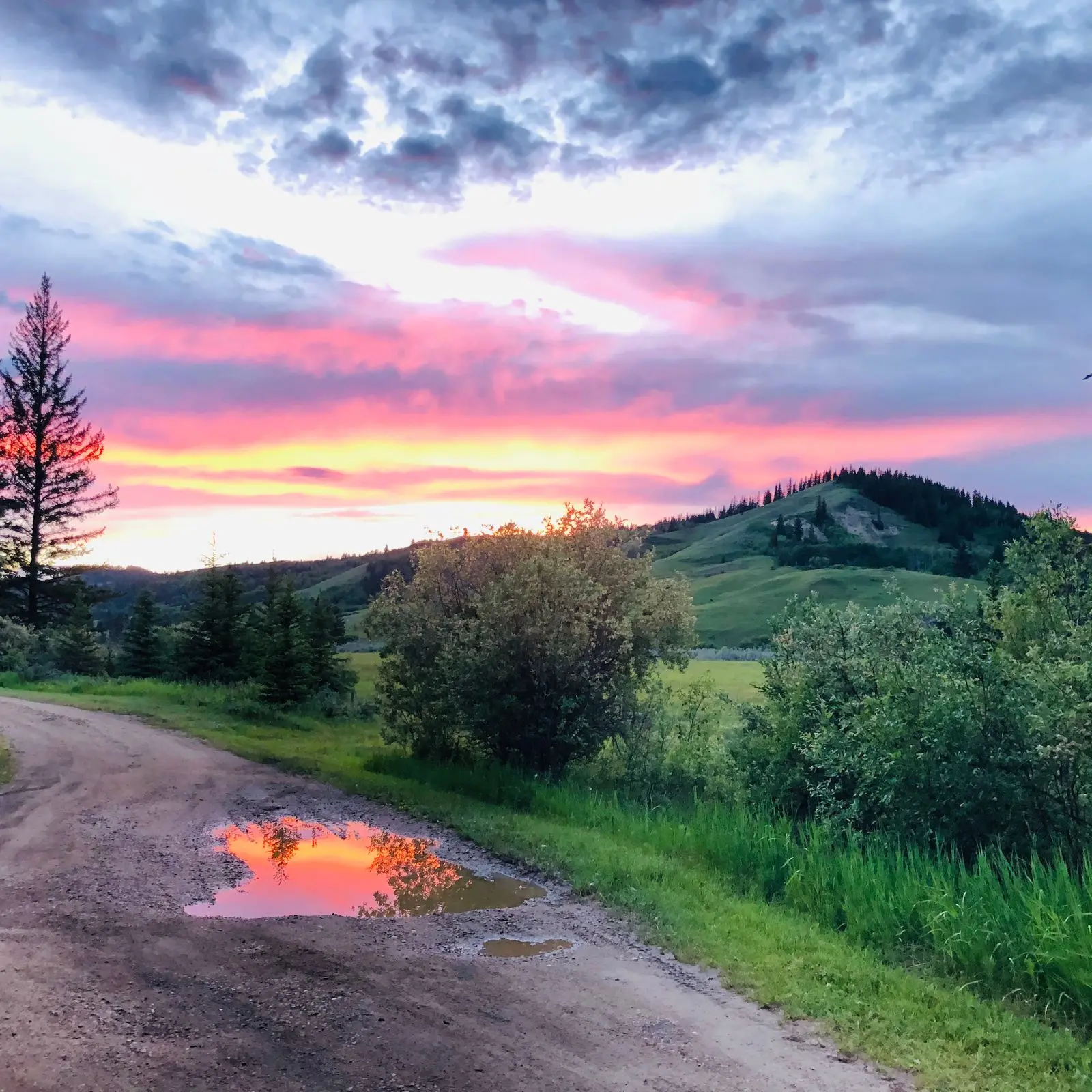 Photo of Cypress Hills Provincial Park