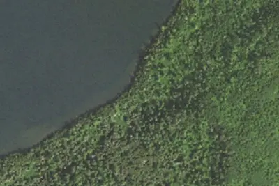 Rose Lake #7