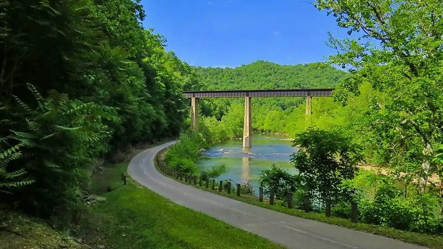Guyandotte