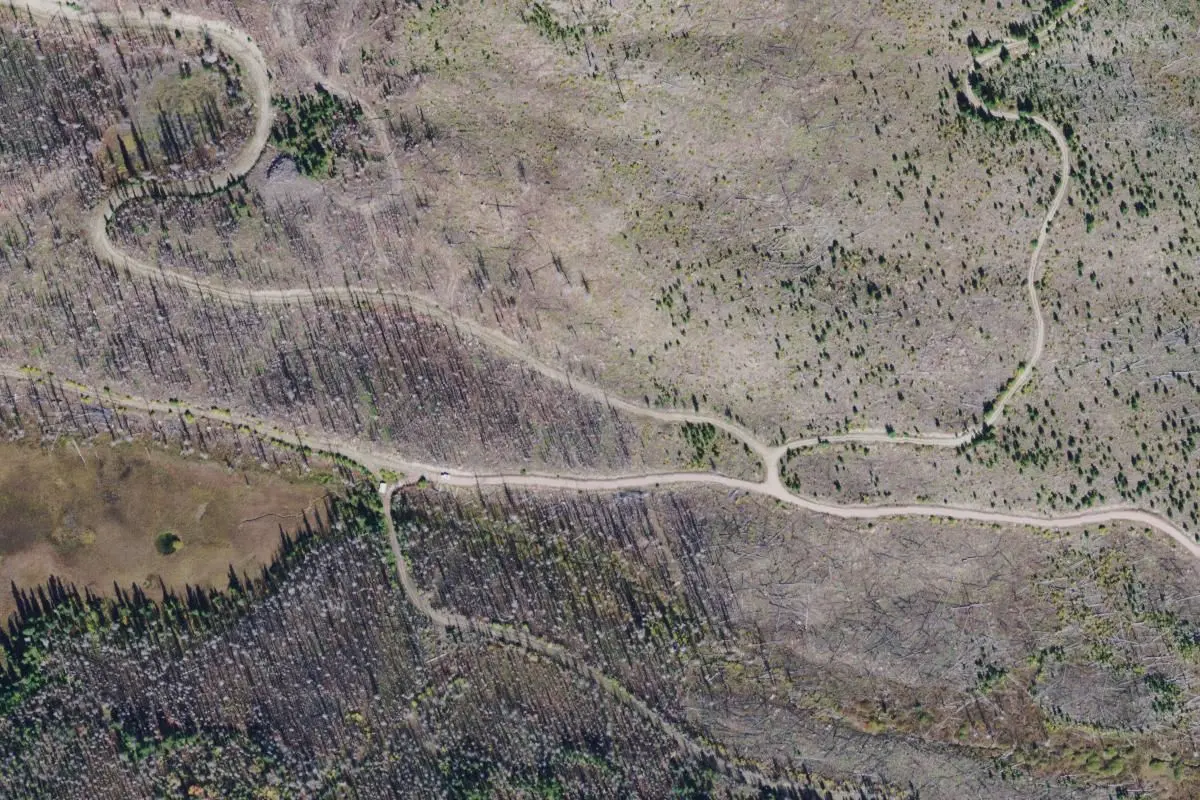 Aerial view