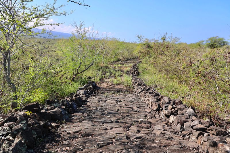 Paved stone trail