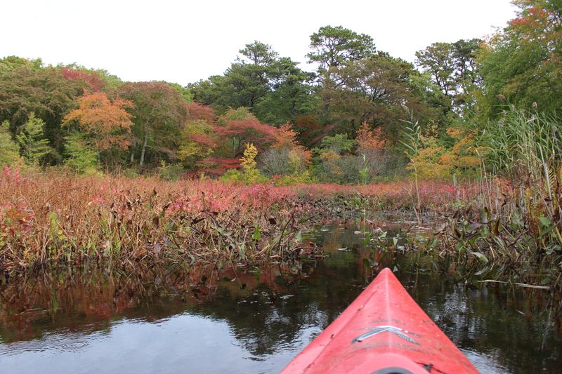 A red kayak floats on a pond facing a forest colored with red and orange leaves.
