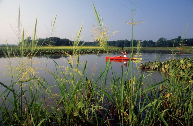 A lone kayaker explores the Patuxent River