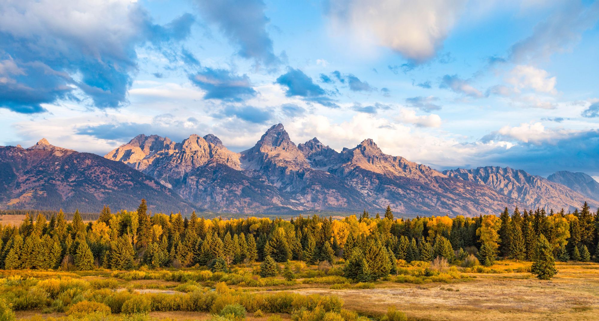 Granite mountains with a cloudy blue sky and green and yellow trees and plants in the foreground