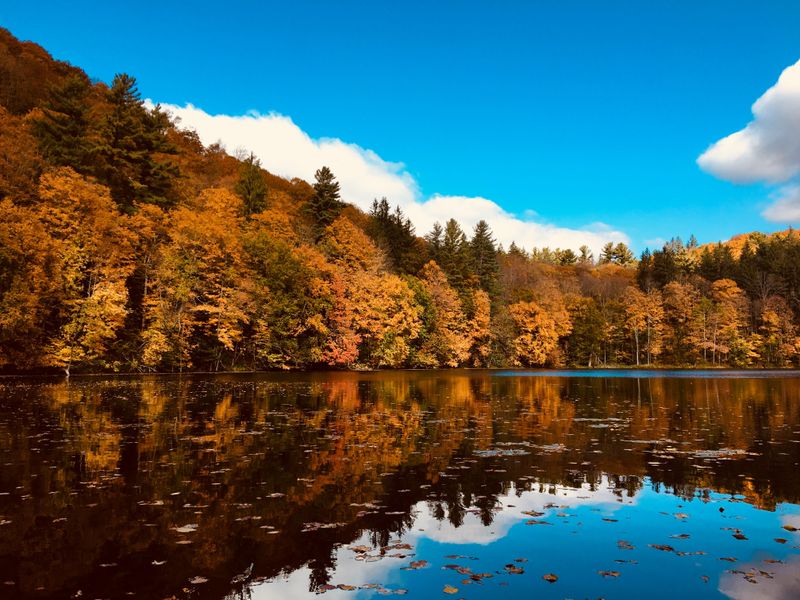 pond surrounded by fall foliage with blue sky above