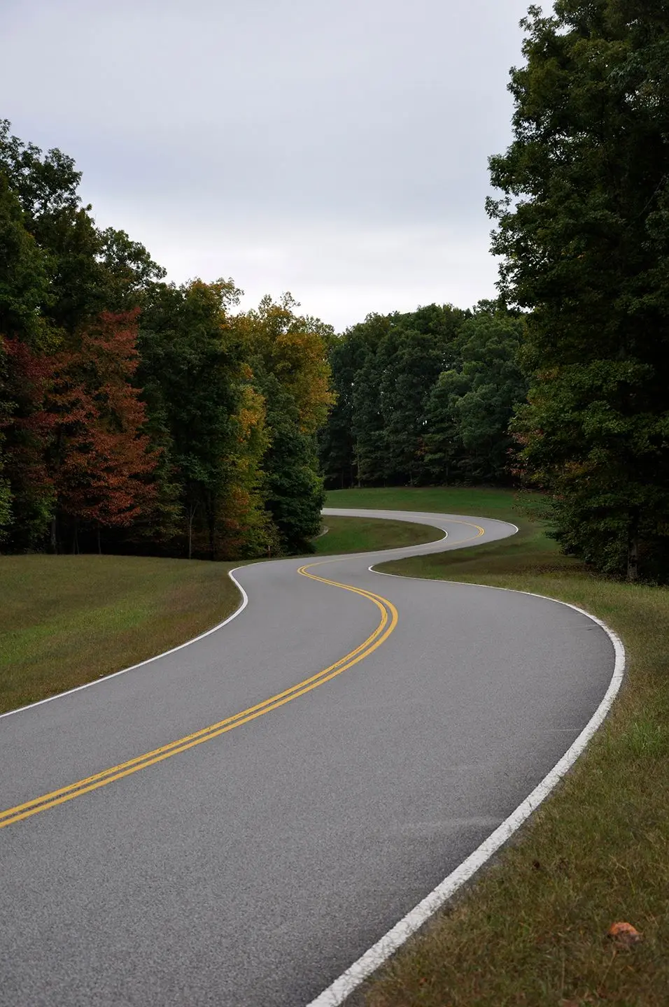 A slightly curvy section of the Natchez Trace Parkway in Early Fall