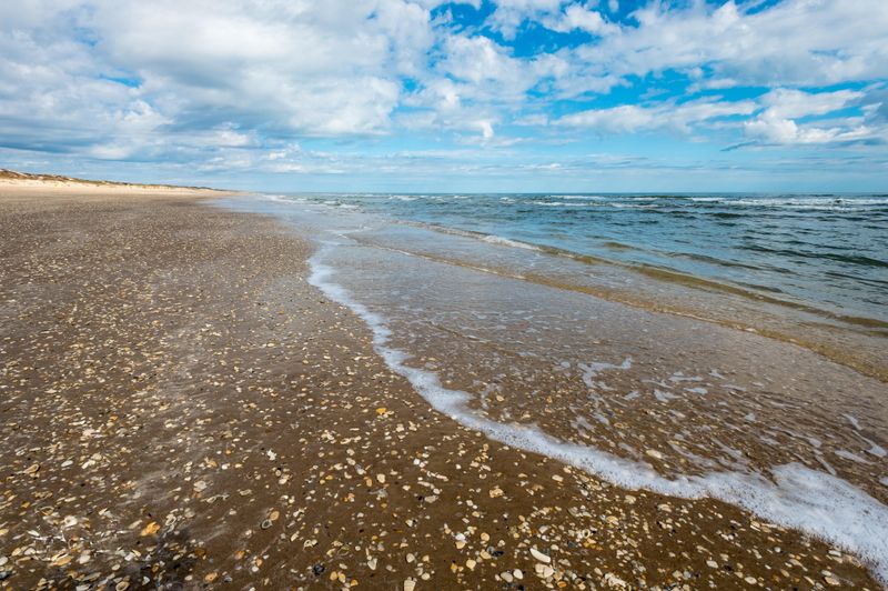 Small shell fragments in the sand long the beach.