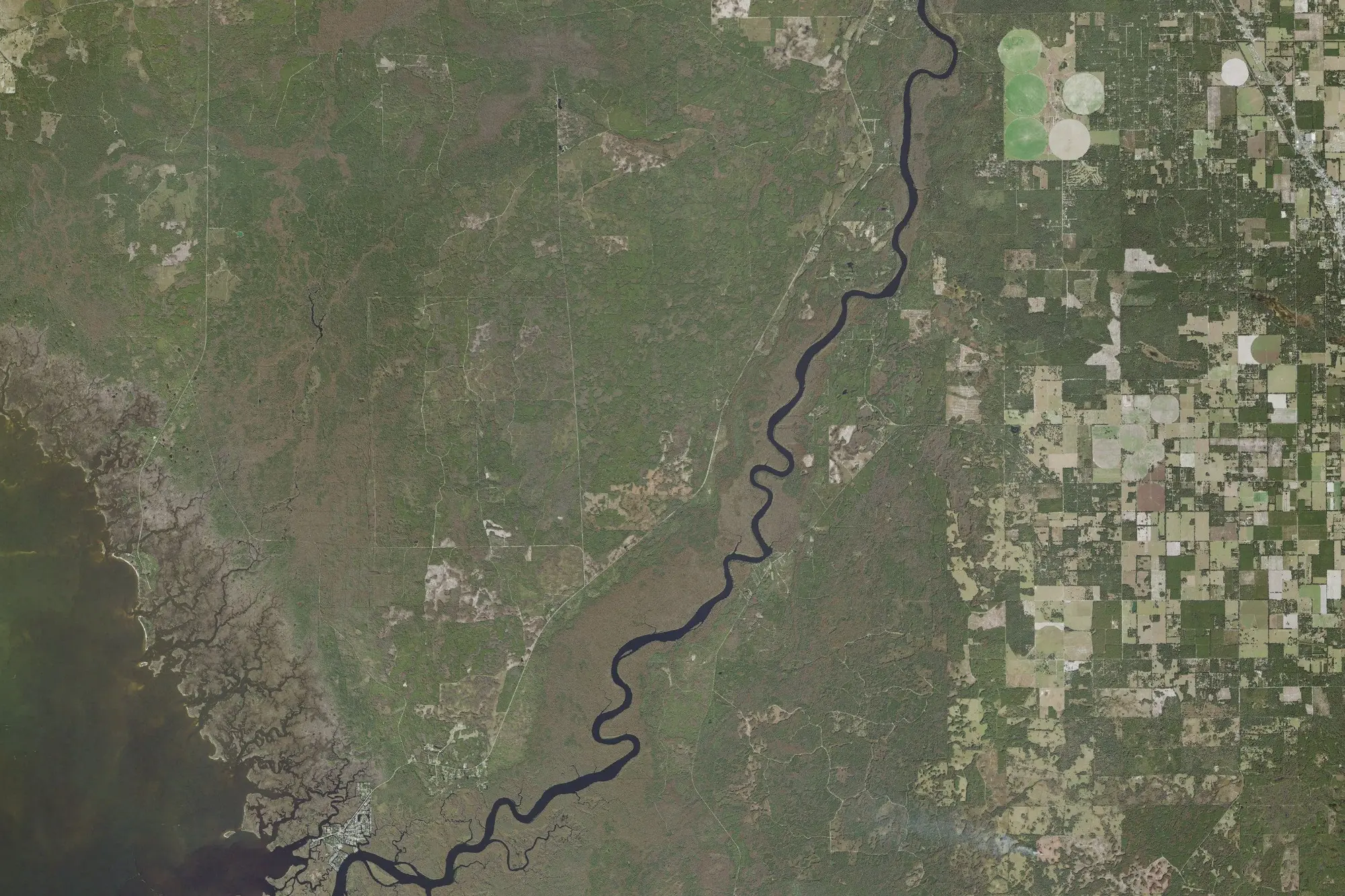 Aerial view of Manatee Springs State Park