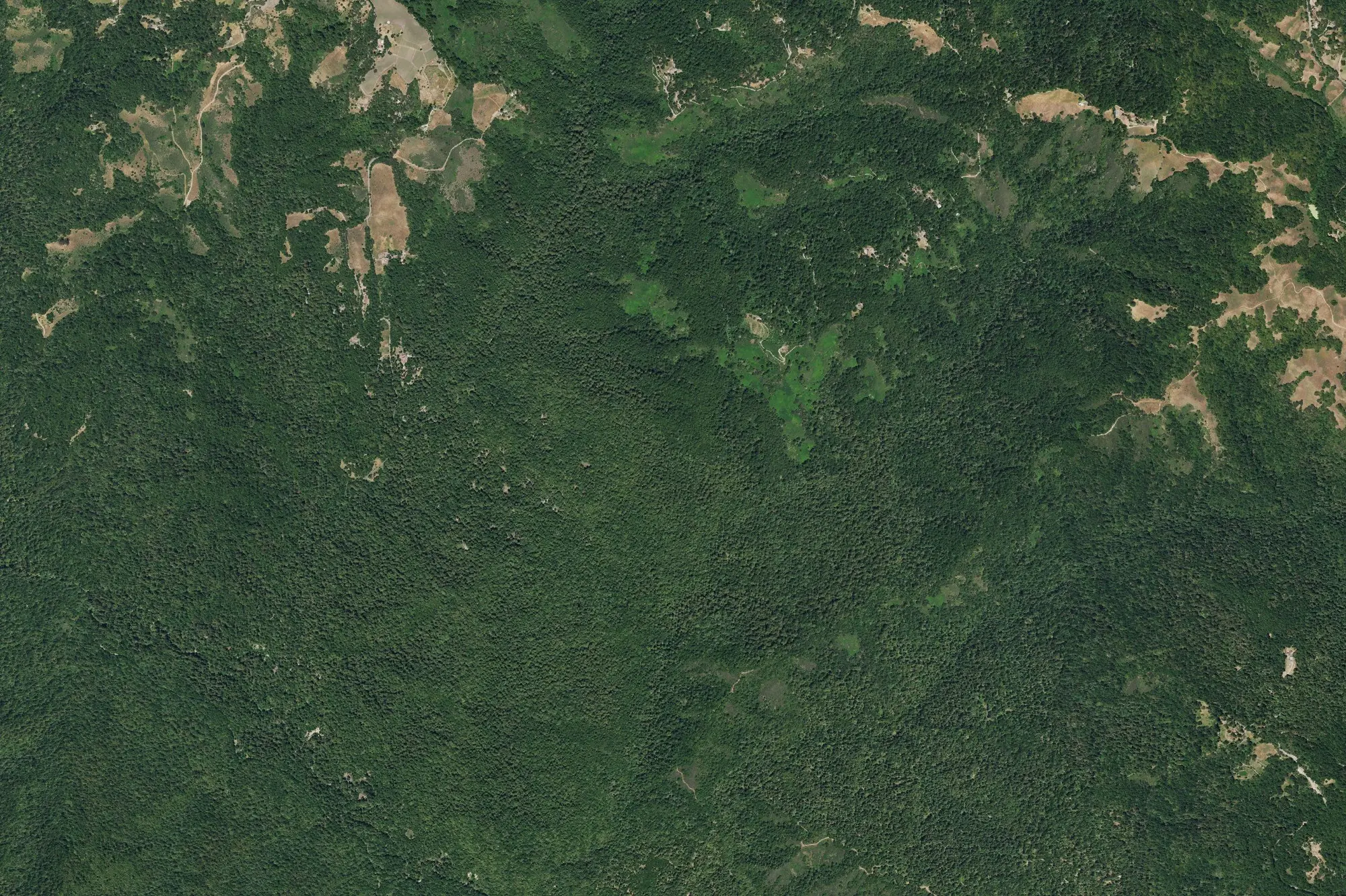 Aerial view of Portola Redwoods State Park