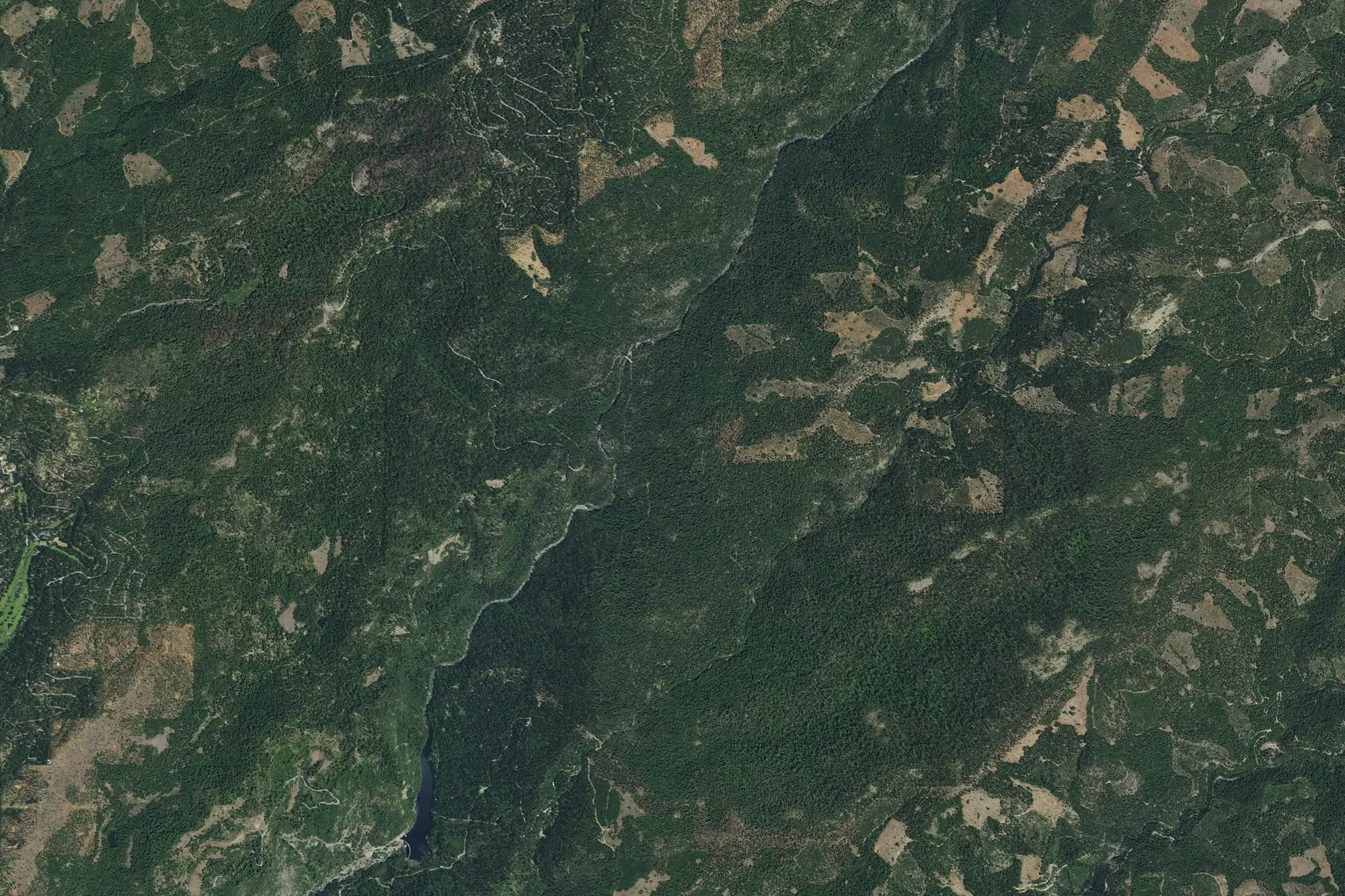 Aerial view of Calaveras Big Trees State Park