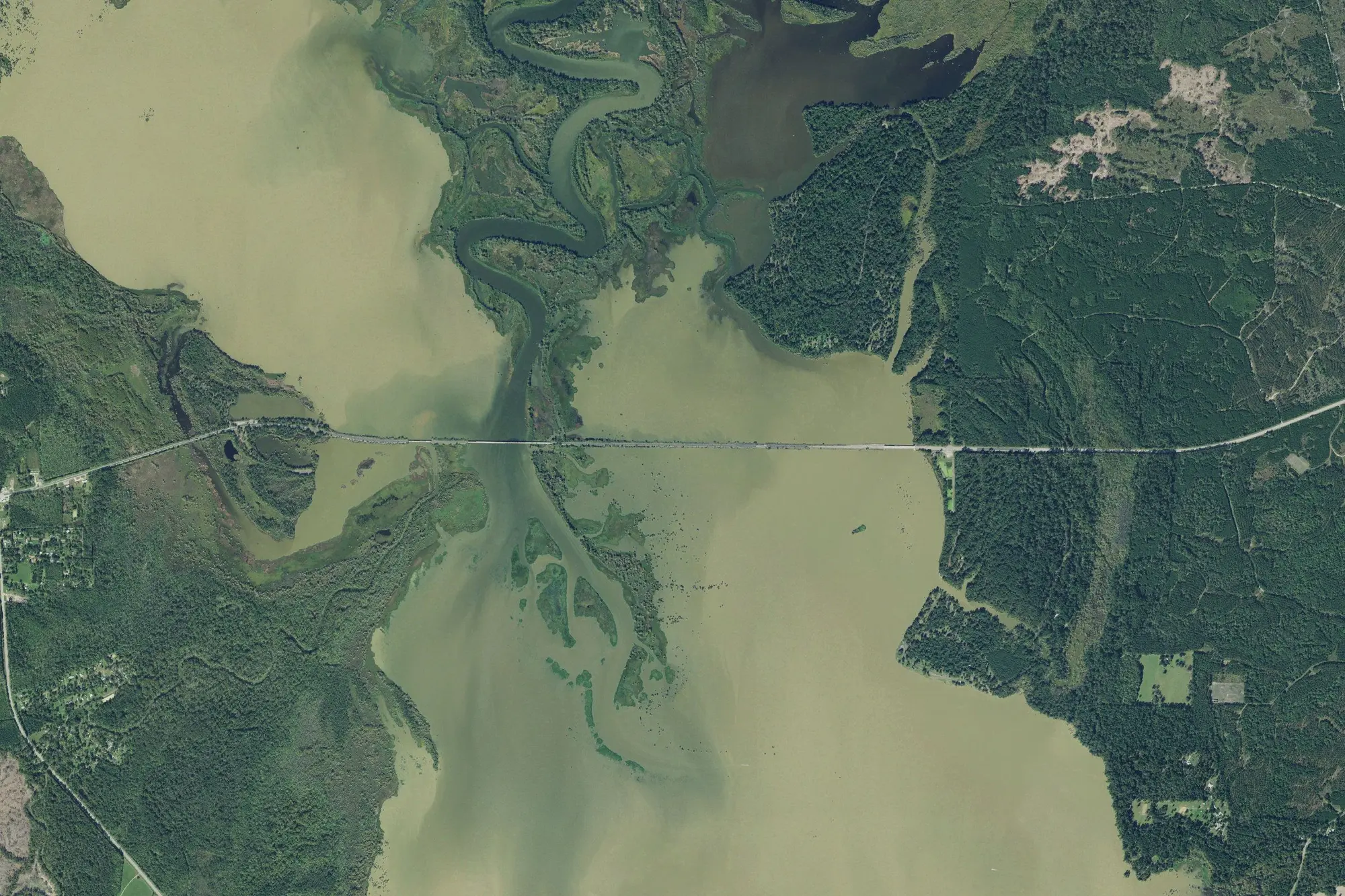 Aerial view of Martin Dies, Jr. State Park