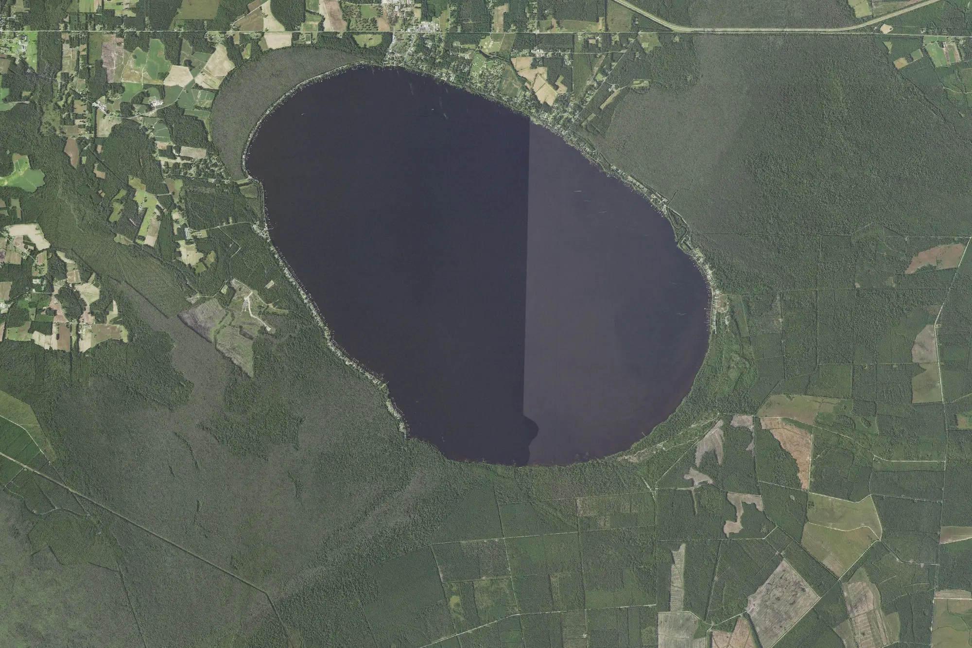 Aerial view of Lake Waccamaw State Park