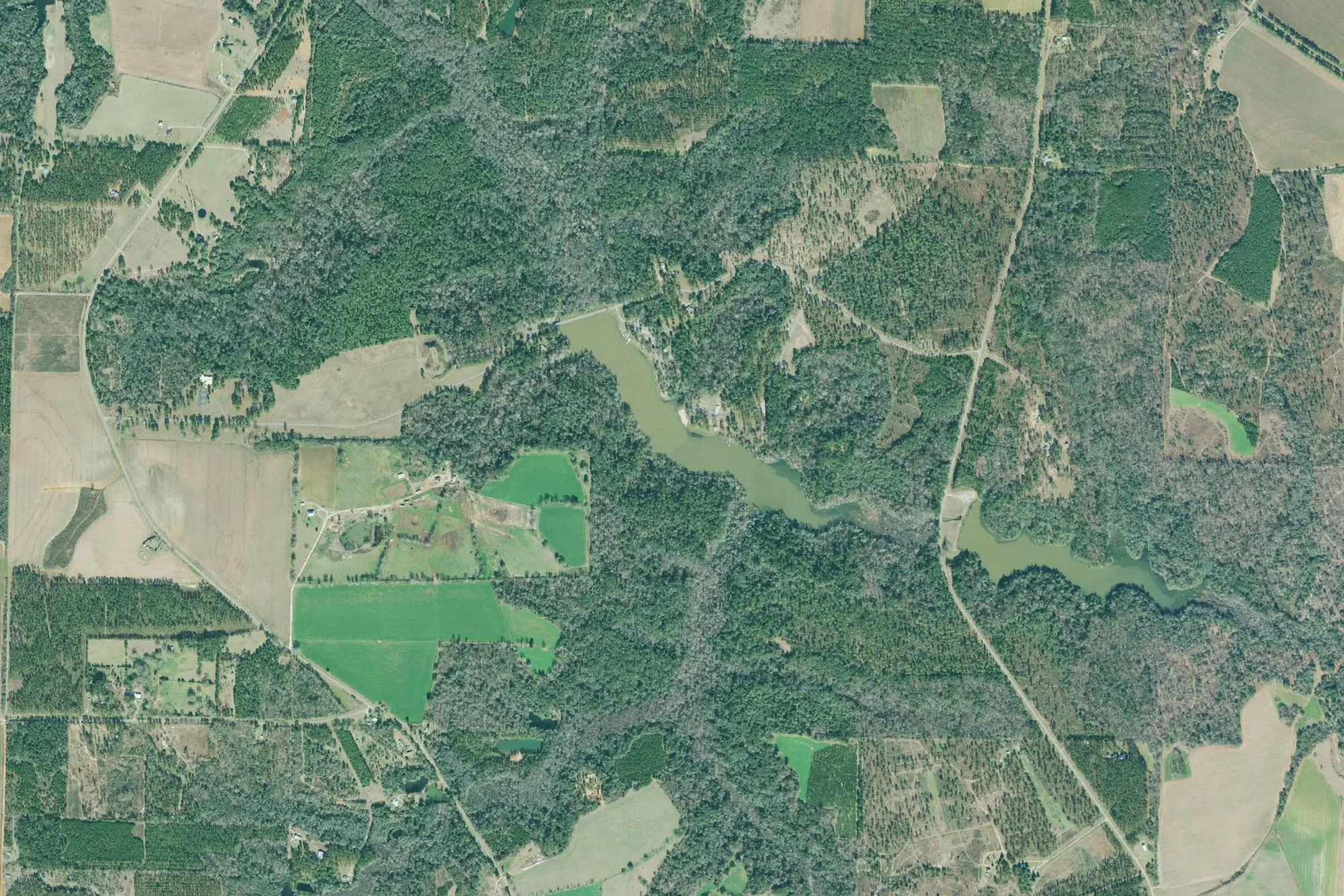 Aerial view of Kolomoki Mounds State Park