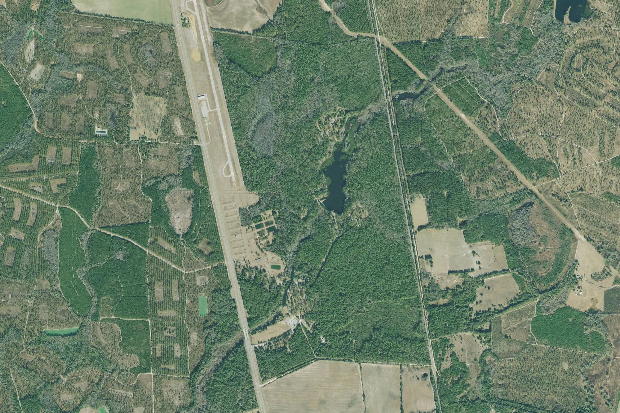 Aerial view of Magnolia Springs State Park