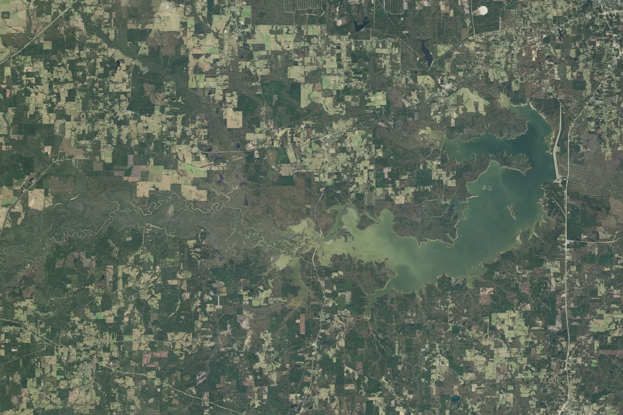Aerial view of Wright Patman Recreation Area