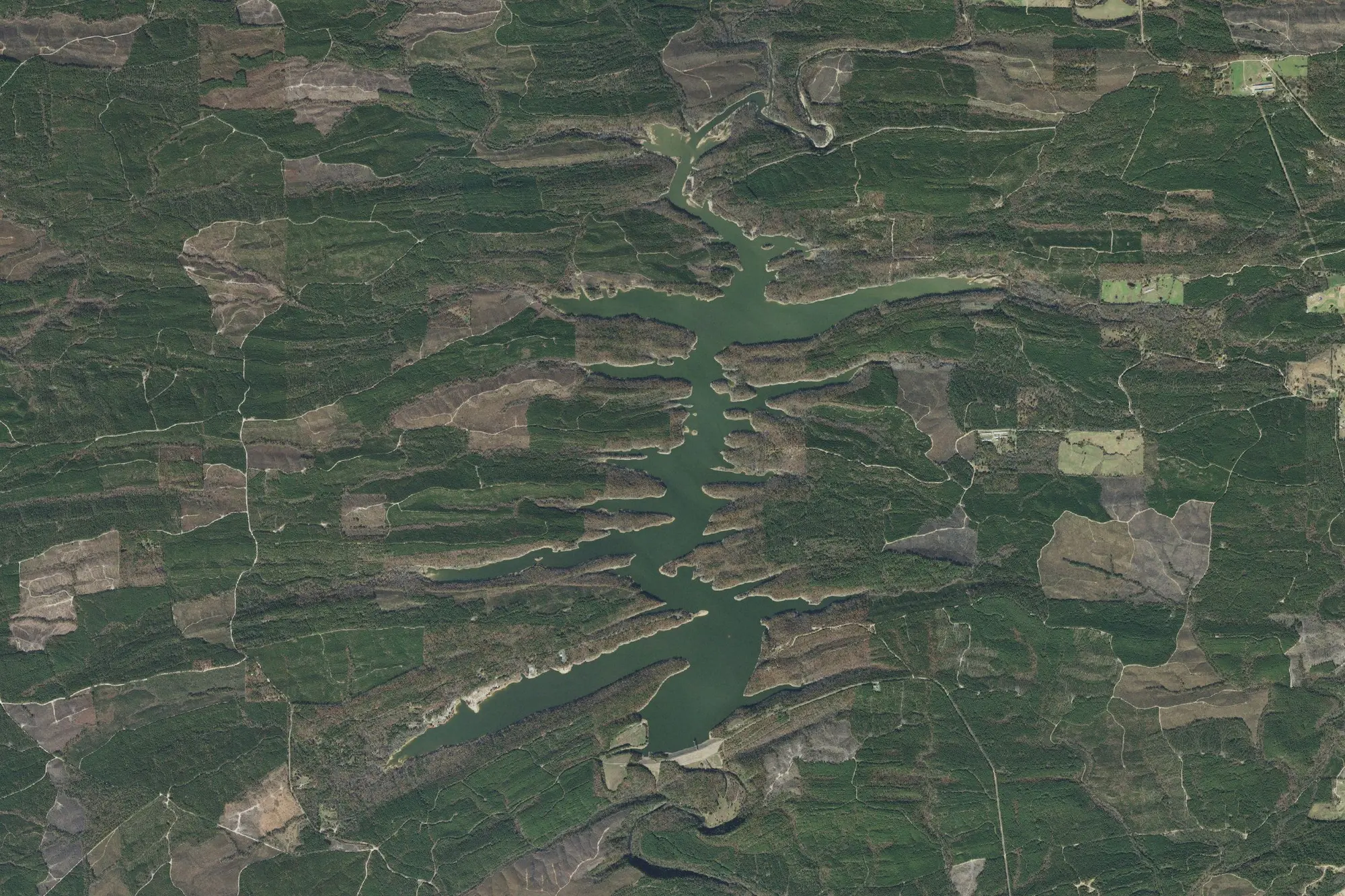 Aerial view of Dierks Recreation Area