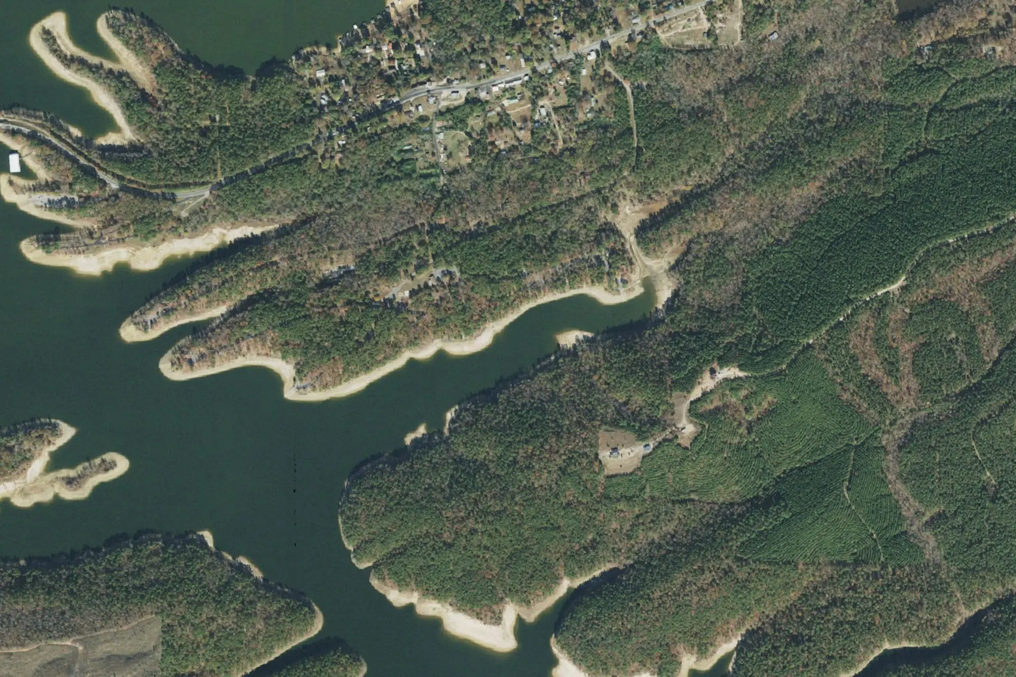 Aerial view of Daisy State Park