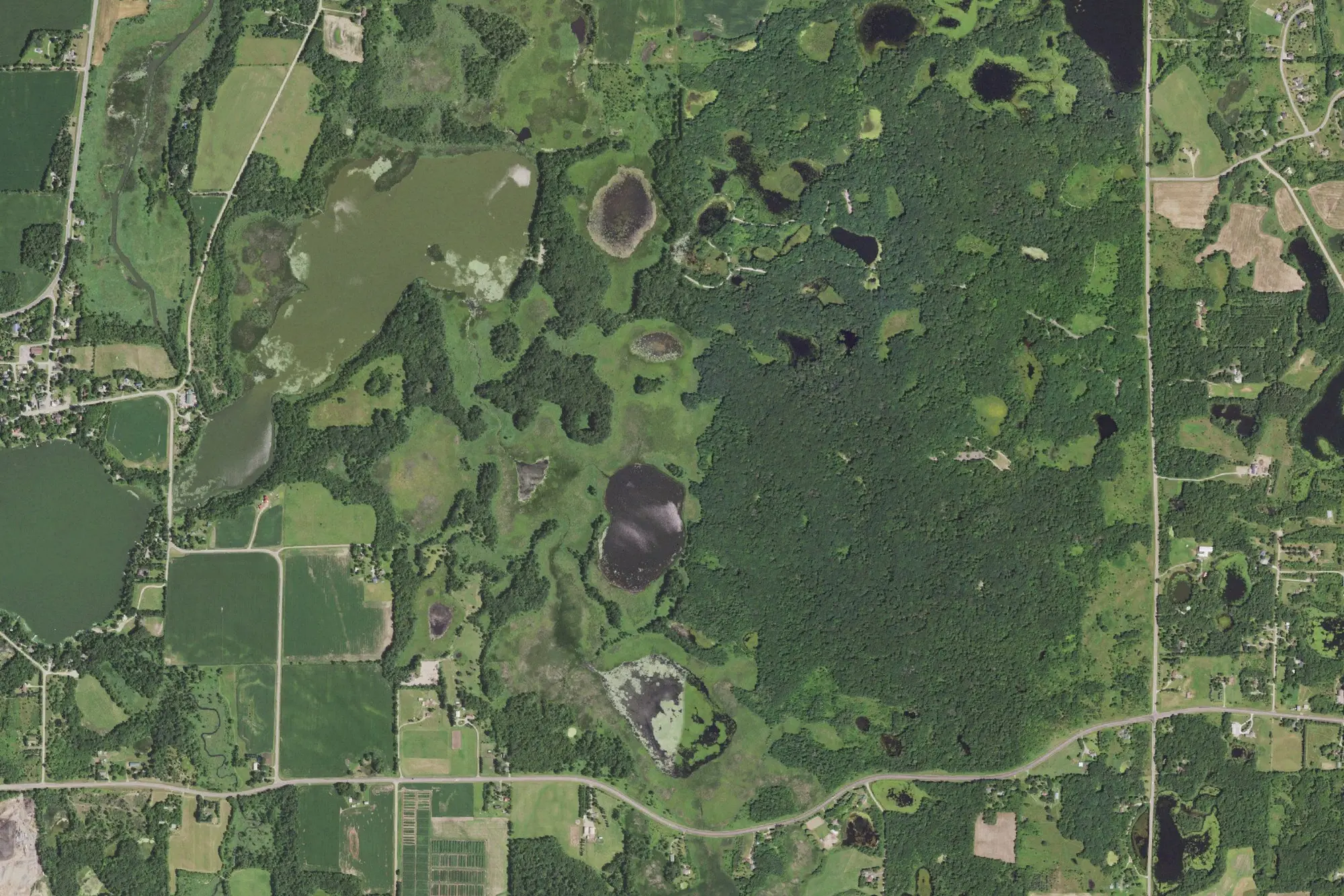 Aerial view of Lake Maria State Park